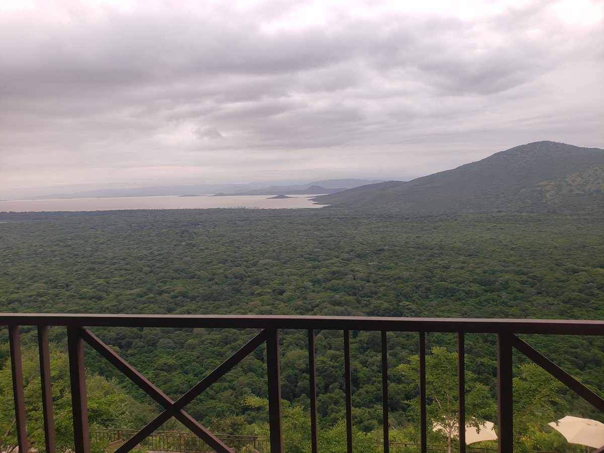 Forested landscape and water body representing nature, ecosystem services and landscape restoration.