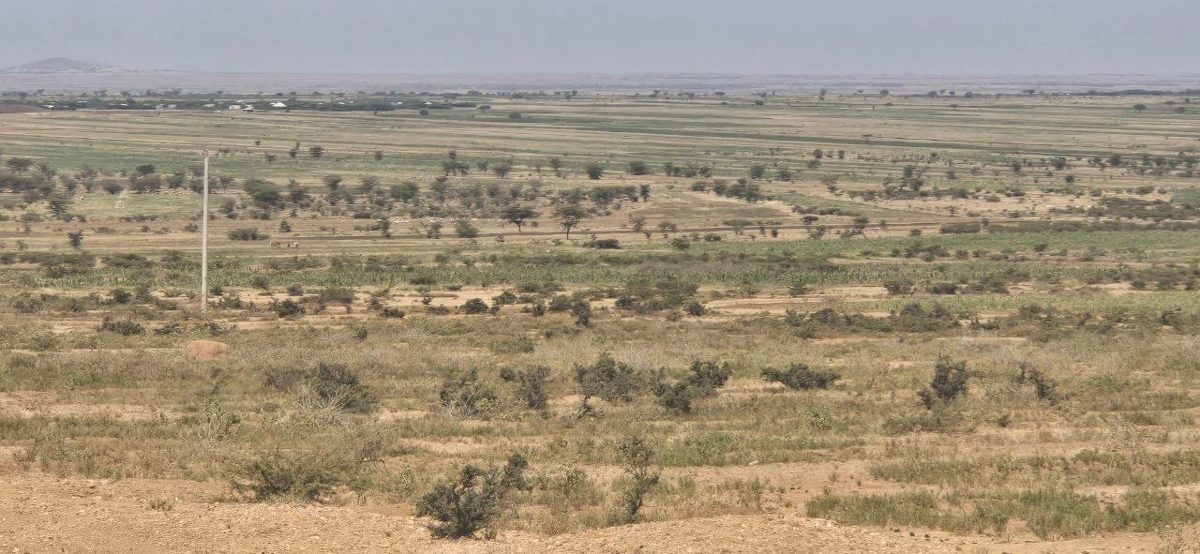 Wide semi-arid agricultural landscape representing landscape-scale monitoring, Earth observation and spatial analysis.