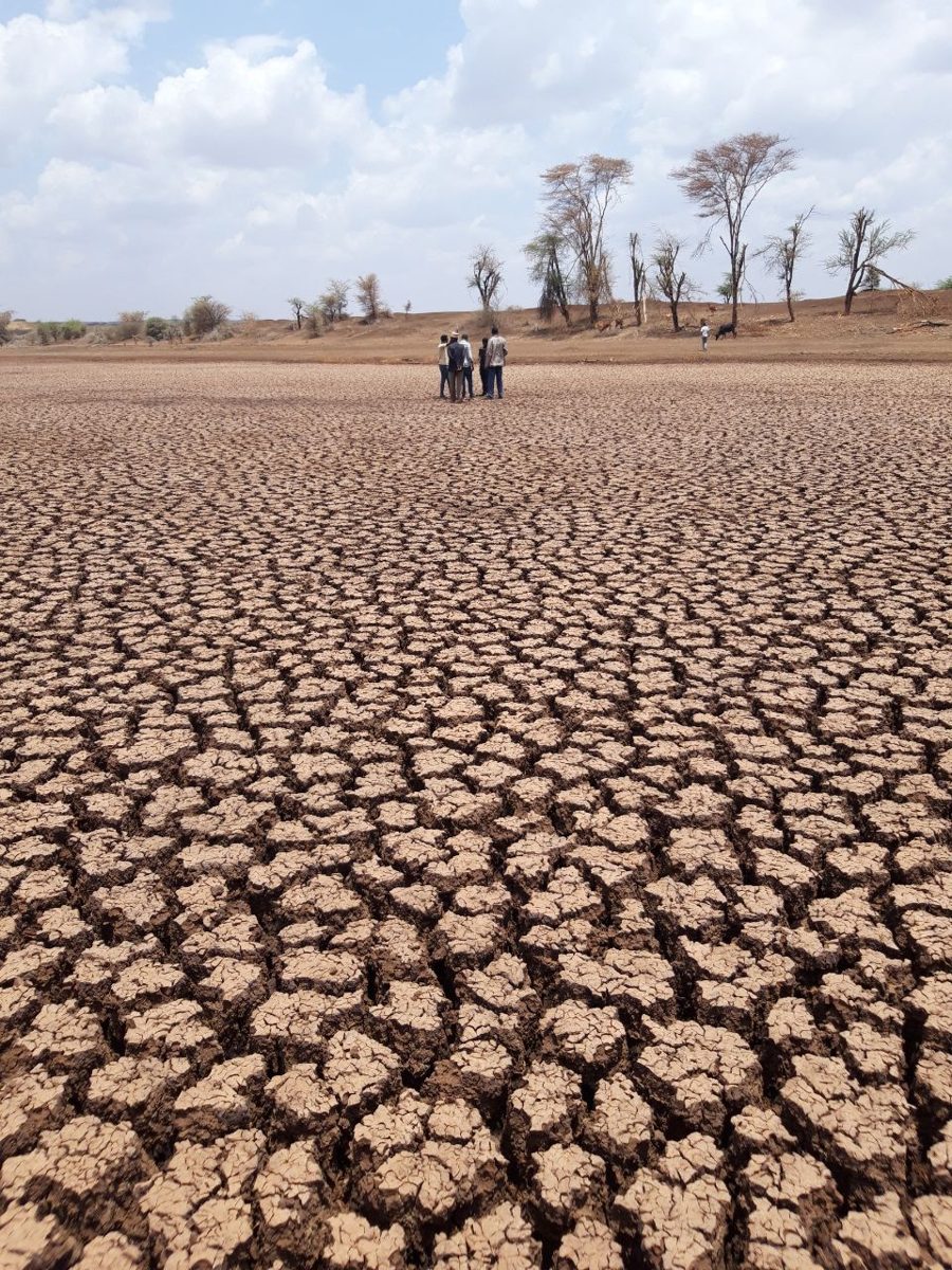Severely cracked dry land representing climate risk and the need for adaptation and resilience finance.
